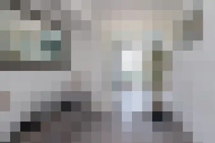 IJweg 557 Boesingheliede thumbnail 8