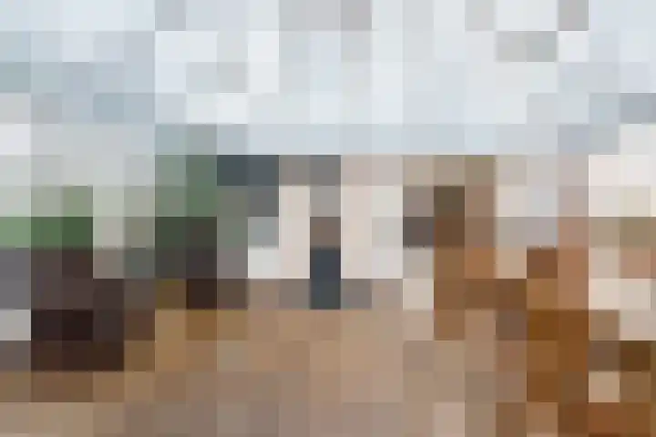 IJweg 835 Hoofddorp thumbnail 8