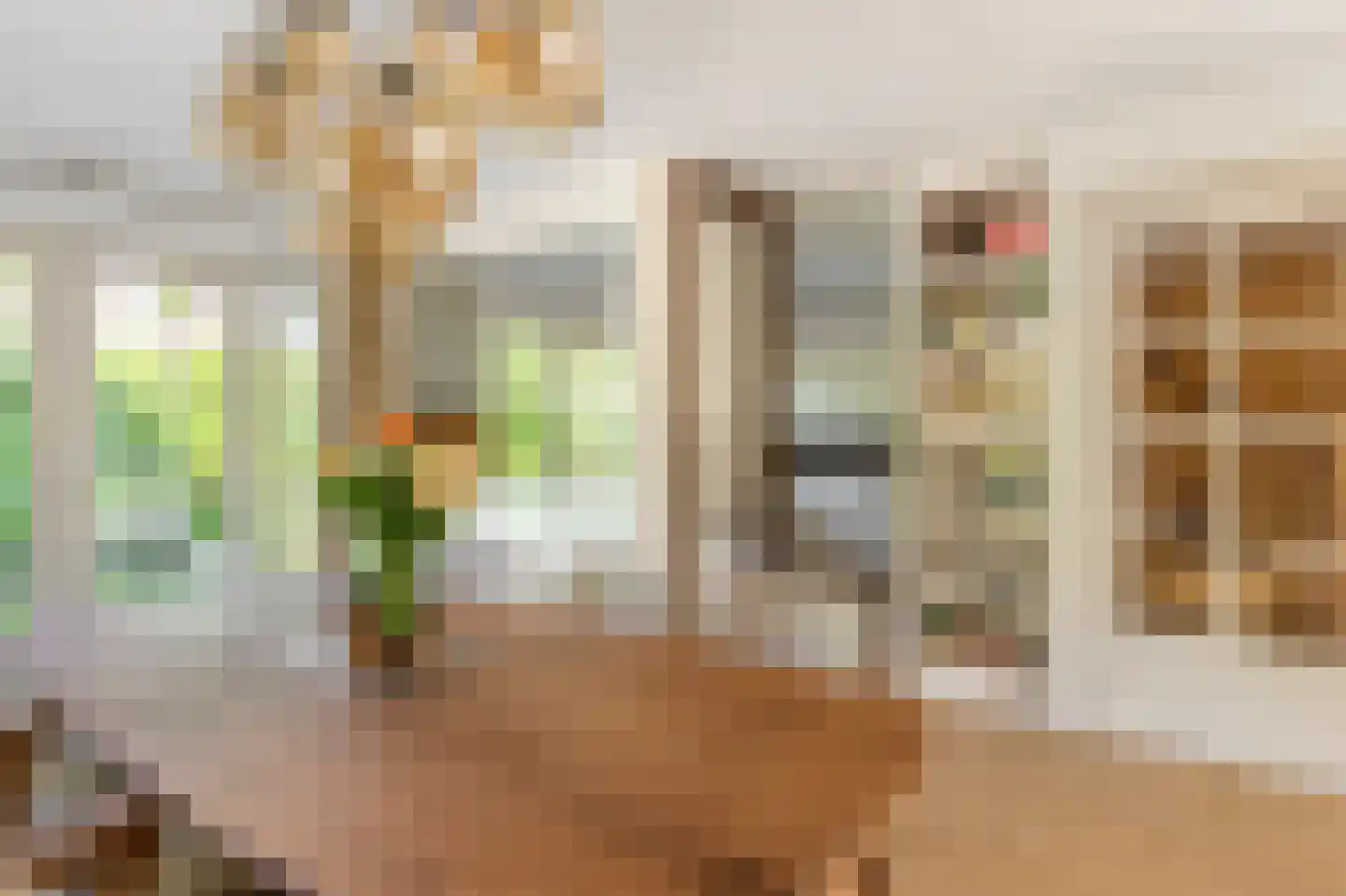 IJweg 999 A Hoofddorp thumbnail 16