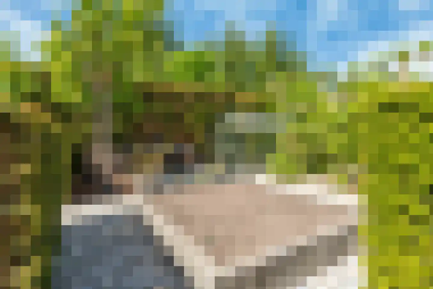 IJweg 999 A Hoofddorp thumbnail 32