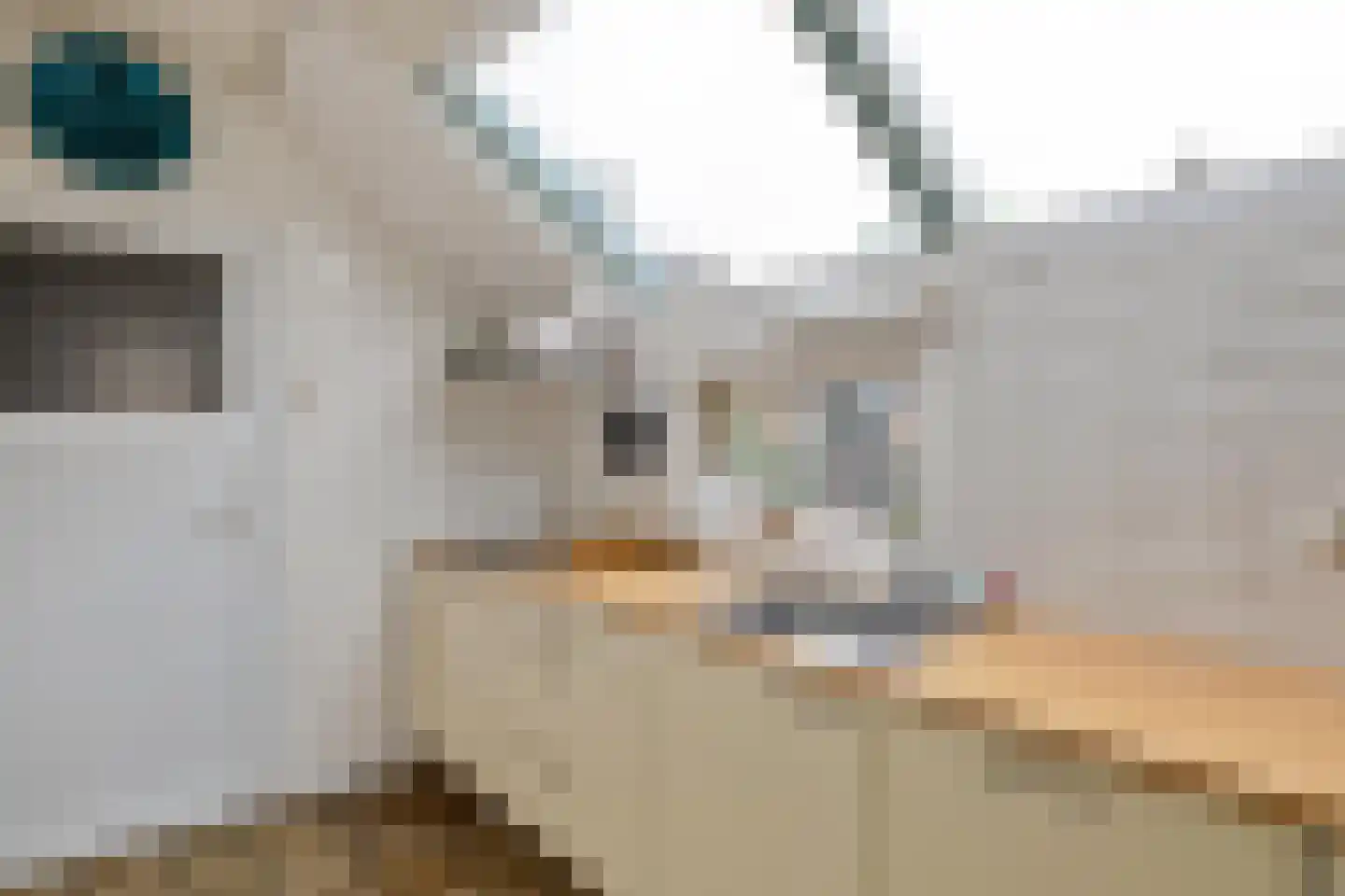 IJzerbaan 7 Eenum thumbnail 13