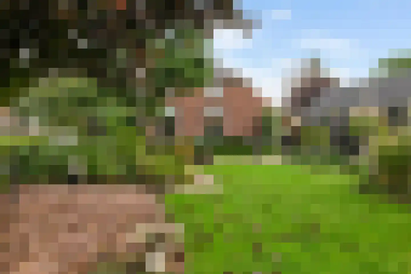 IJzerbaan 7 Eenum thumbnail 34