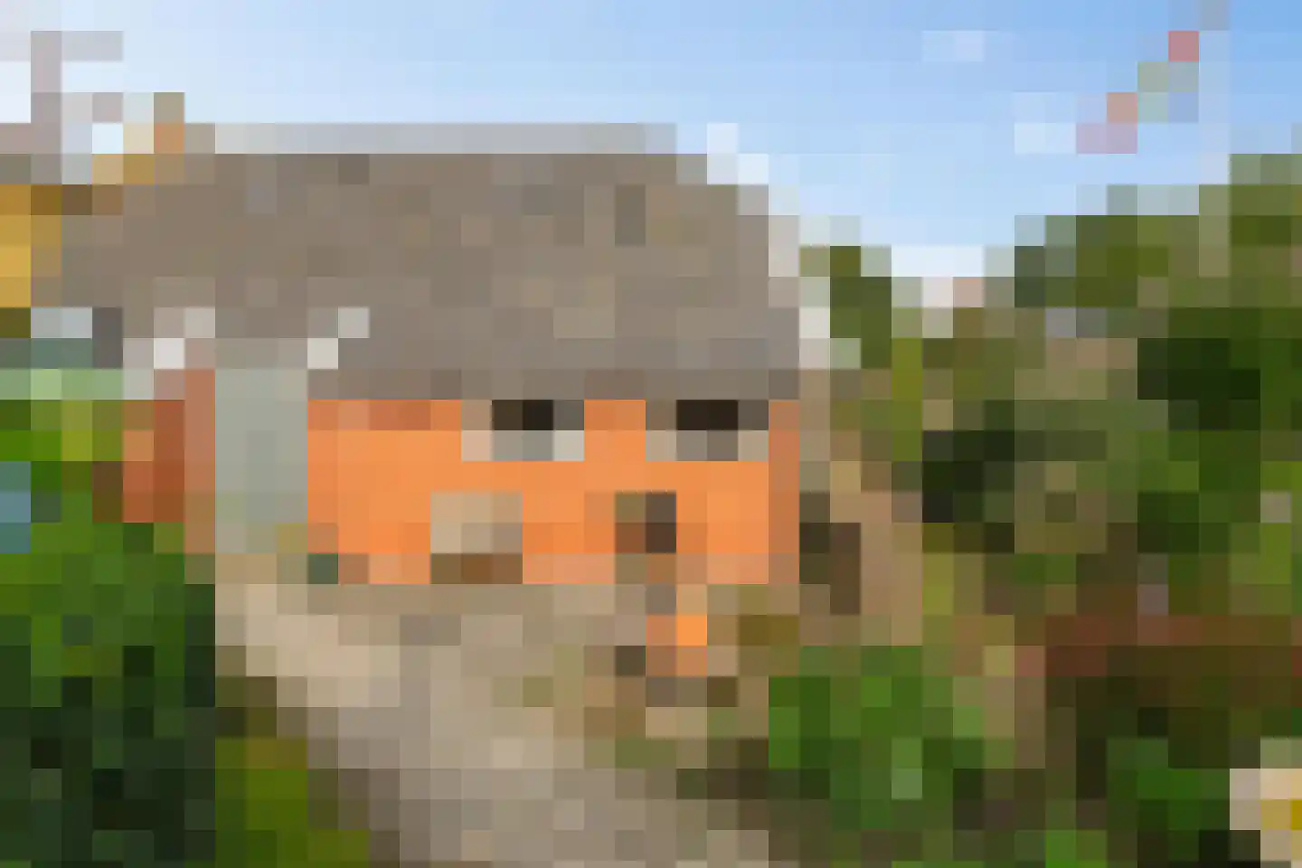 IJzerbaan 7 Eenum thumbnail 40