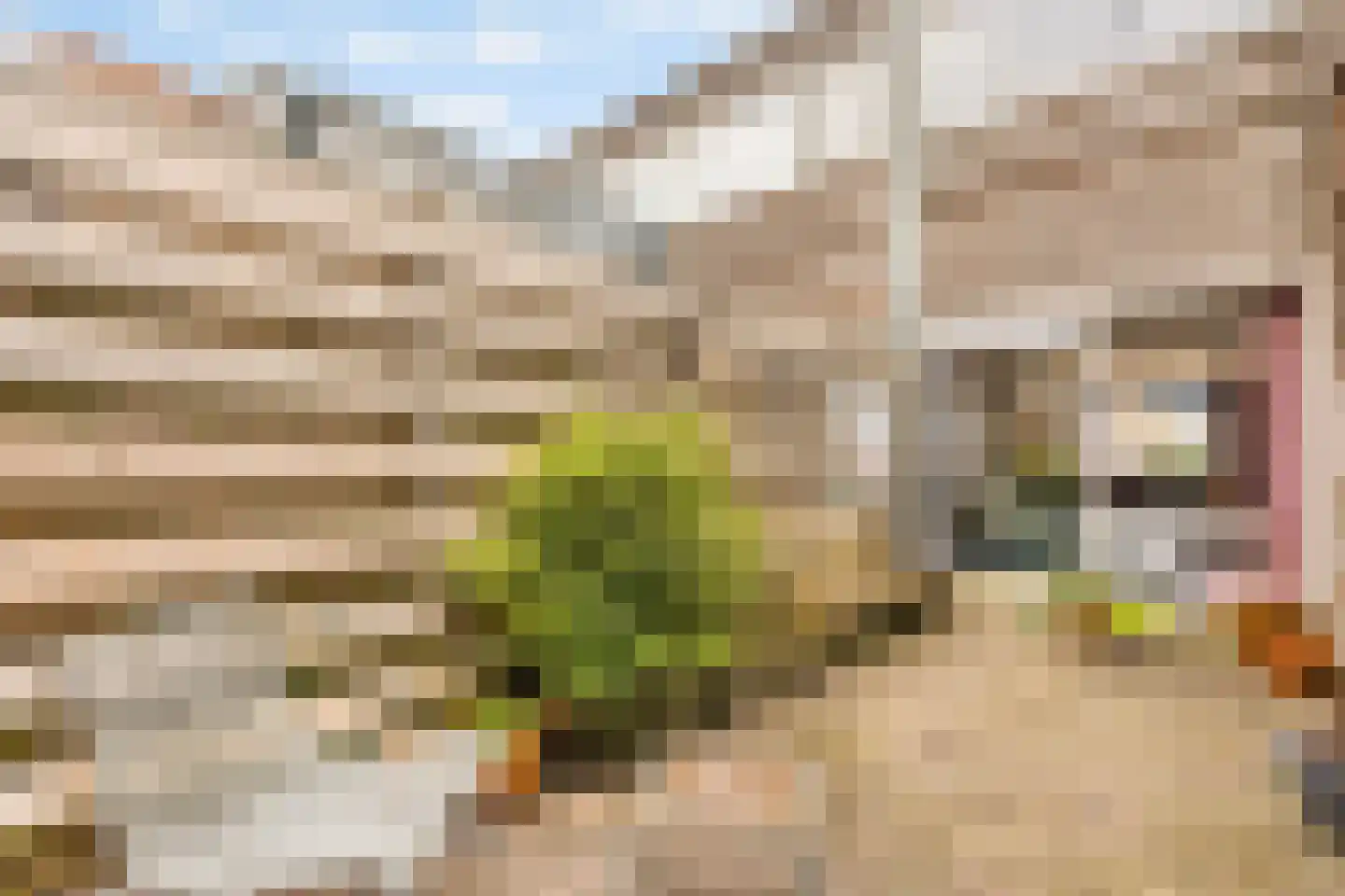 IJzerhof 8 Amsterdam thumbnail 15