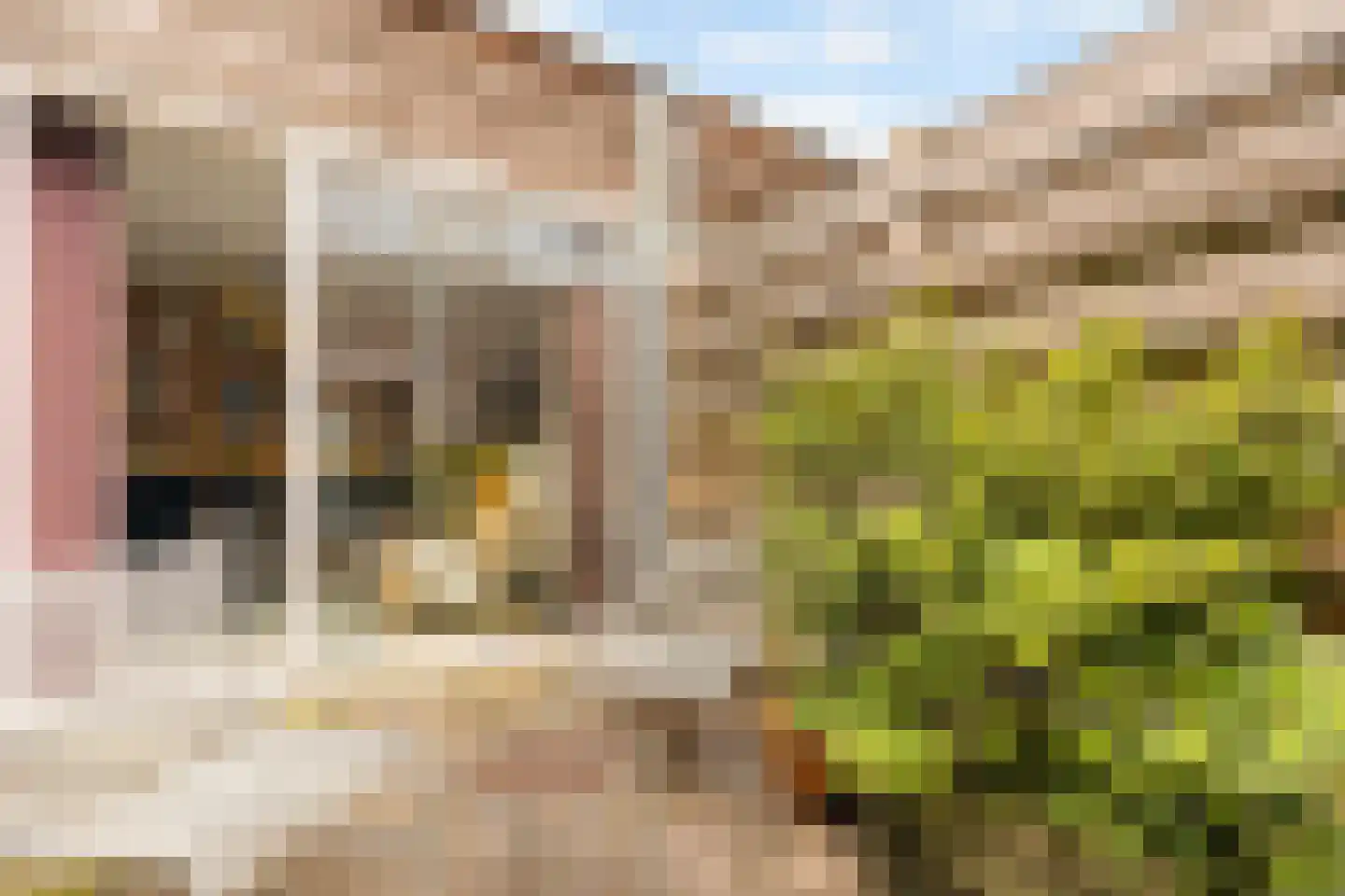 IJzerhof 8 Amsterdam thumbnail 16