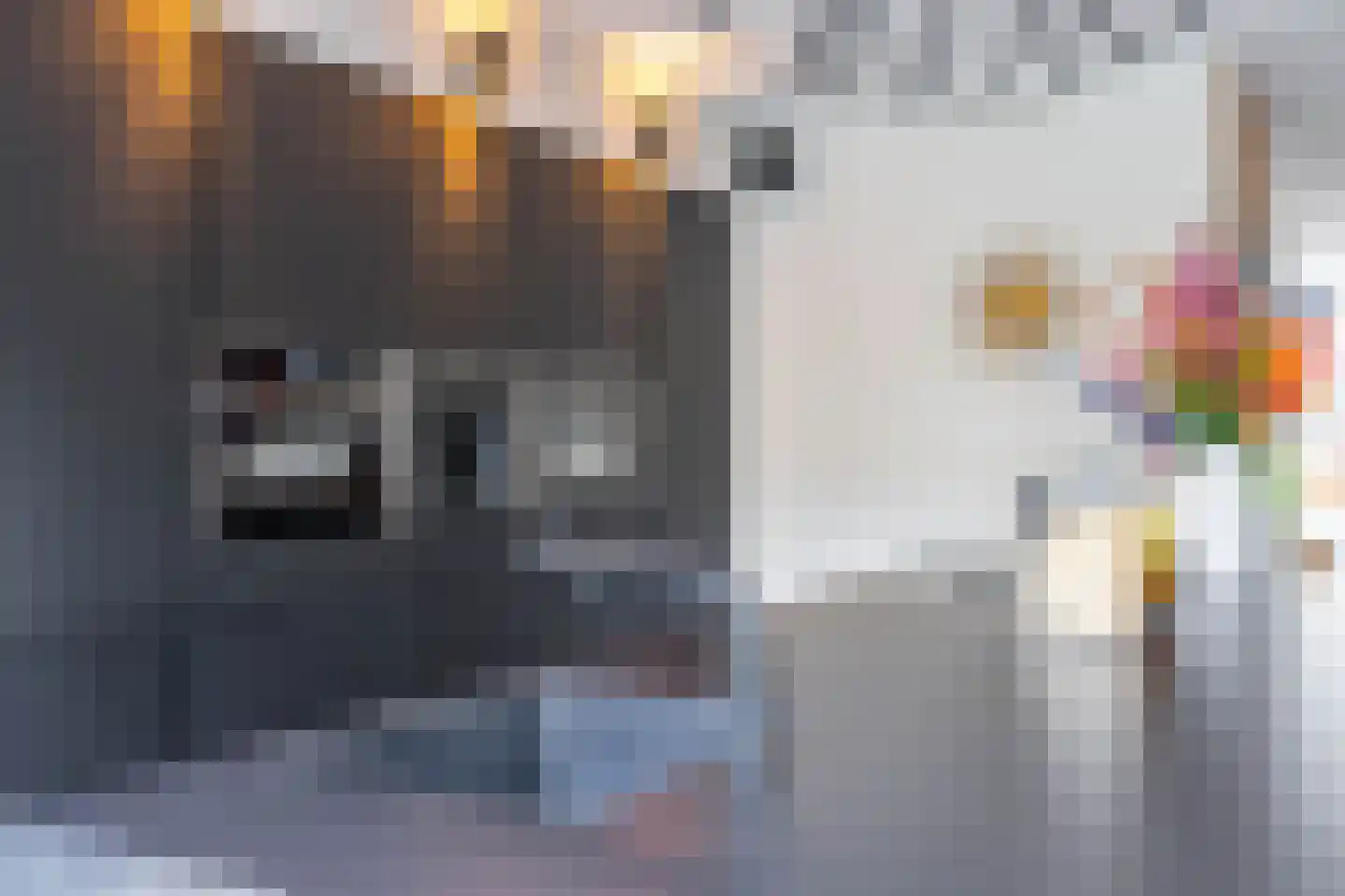IJzerhof 8 Haren Gn thumbnail 13