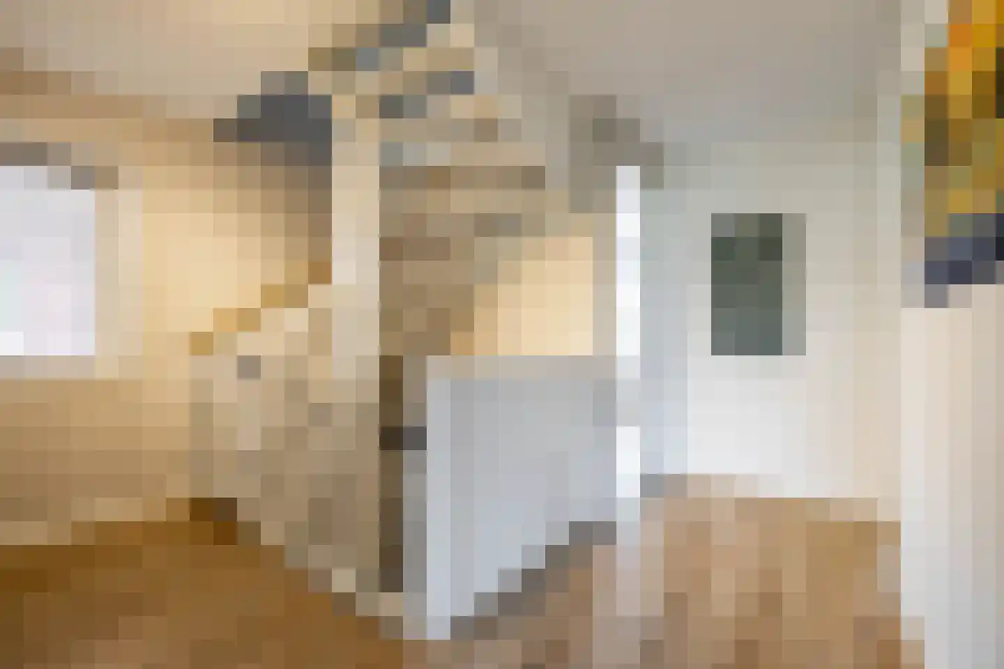 IJzerhof 8 Haren Gn thumbnail 27