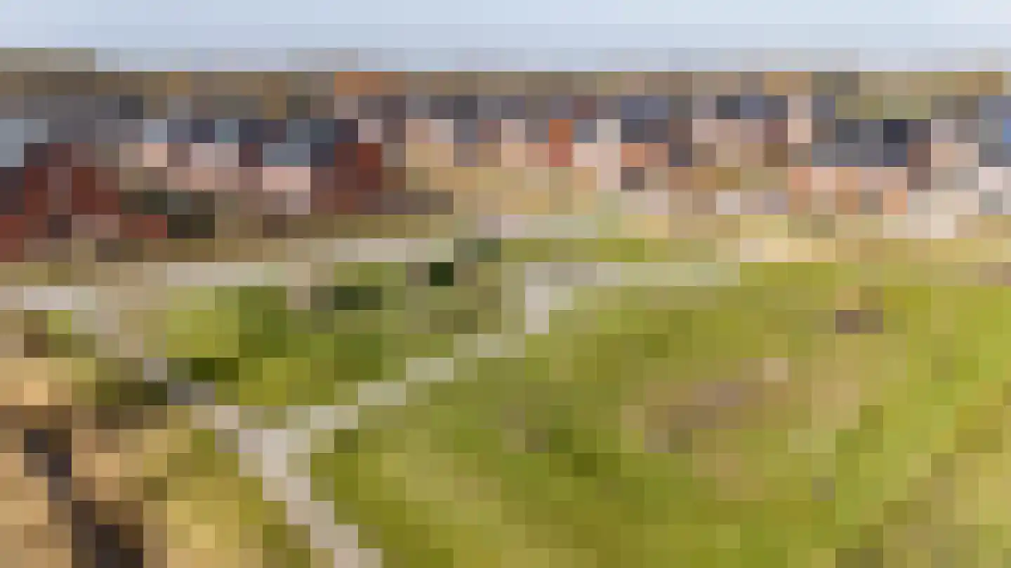 IJzerhof 8 Haren Gn thumbnail 51
