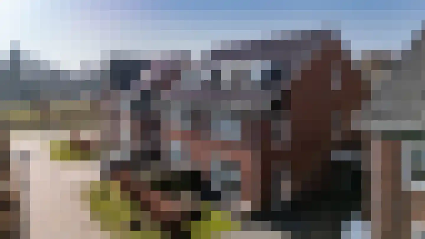 IJzerhof 8 Haren Gn thumbnail 53