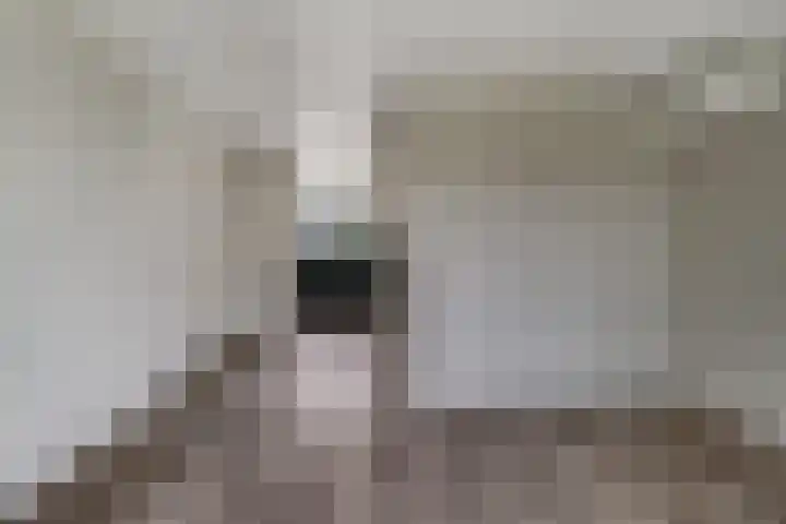 IJzeroven 12 Wehl thumbnail 13