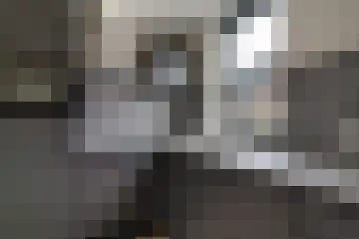 IJzeroven 12 Wehl thumbnail 15