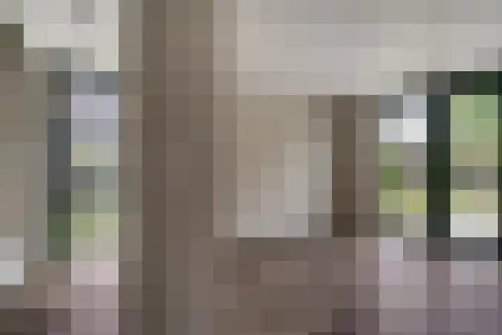 IJzeroven 12 Wehl thumbnail 19