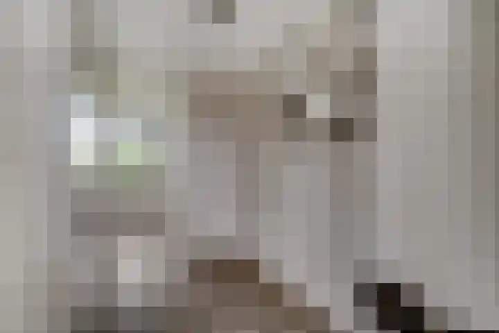 IJzeroven 12 Wehl thumbnail 21