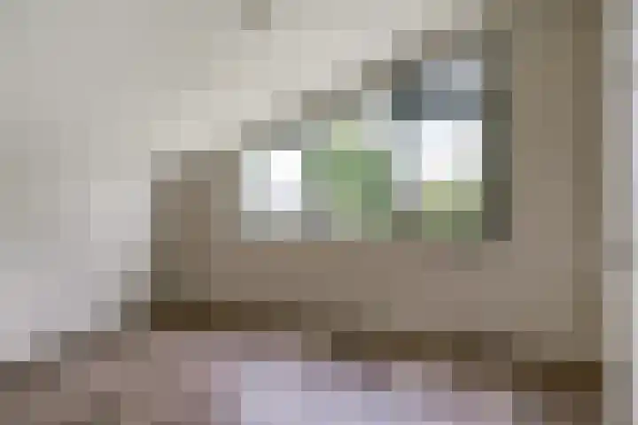 IJzeroven 12 Wehl thumbnail 22