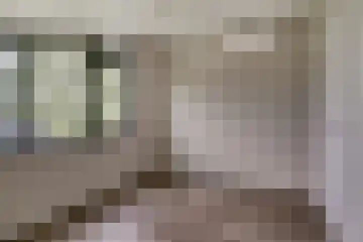 IJzeroven 12 Wehl thumbnail 23