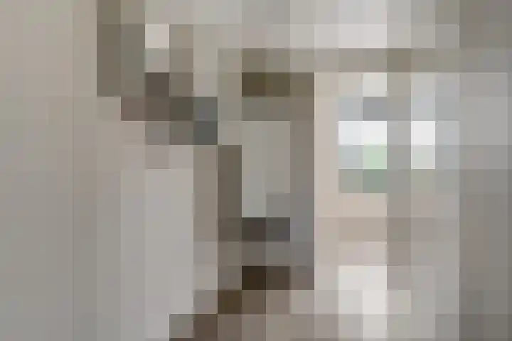 IJzeroven 12 Wehl thumbnail 25