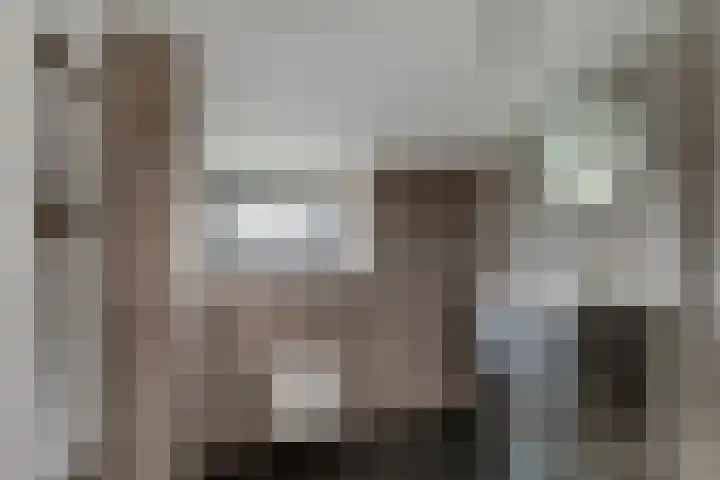 IJzeroven 12 Wehl thumbnail 28
