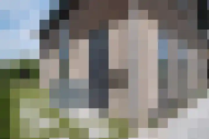 IJzeroven 12 Wehl foto 3