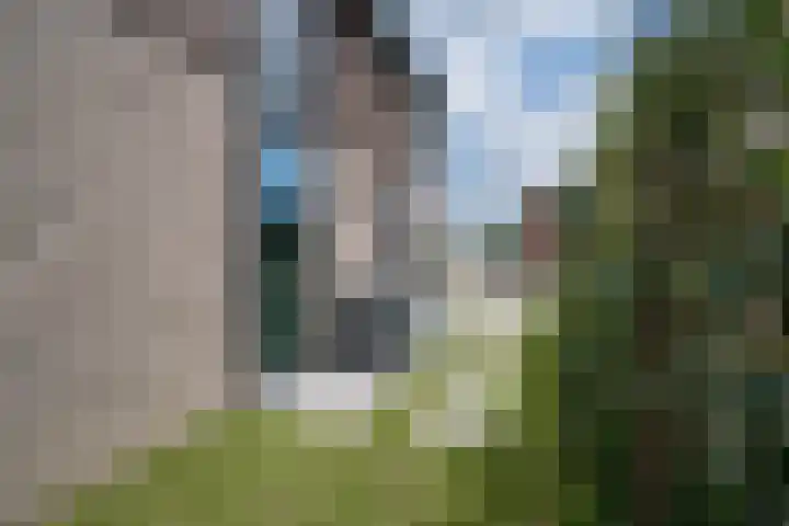 IJzeroven 12 Wehl thumbnail 4