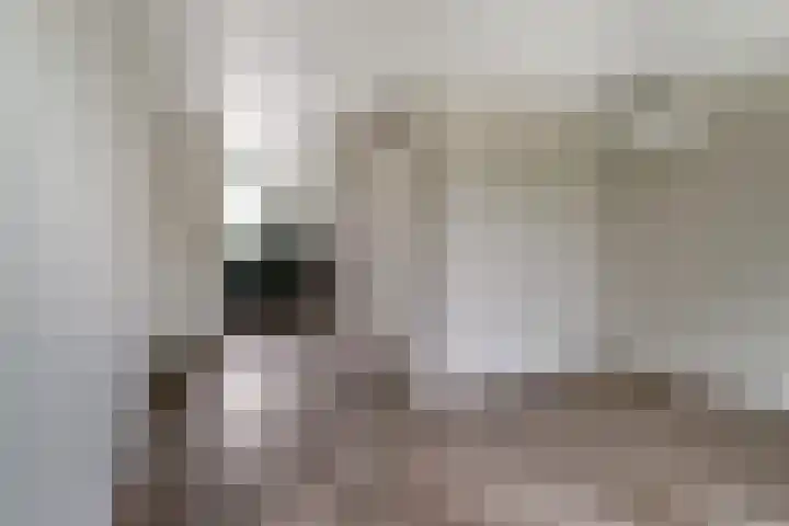 IJzeroven 12 Wehl thumbnail 6