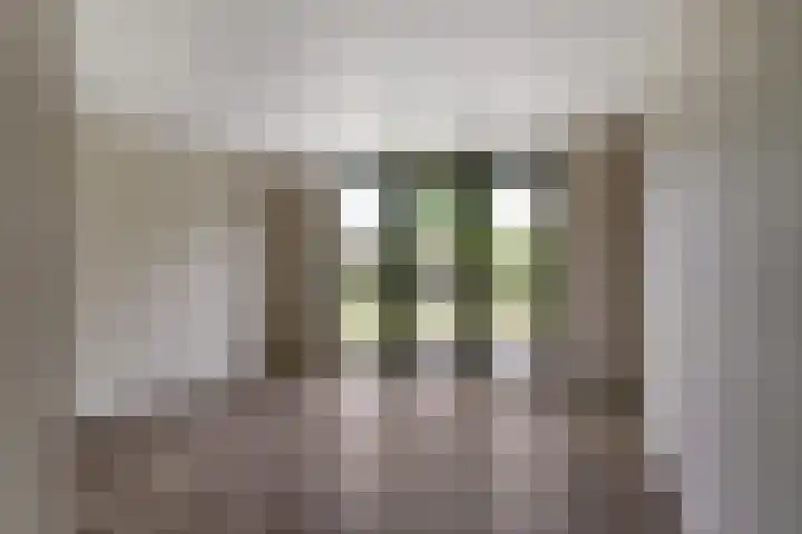 IJzeroven 12 Wehl thumbnail 7