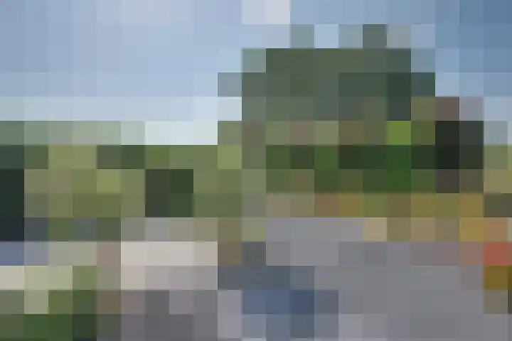 IJzeroven 2 Wehl thumbnail 23