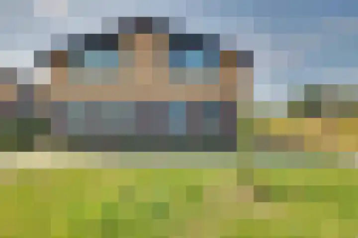 IJzeroven 2 Wehl foto 3