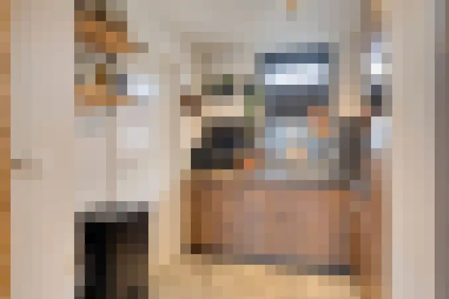 IJzeroven 34 Wehl thumbnail 18