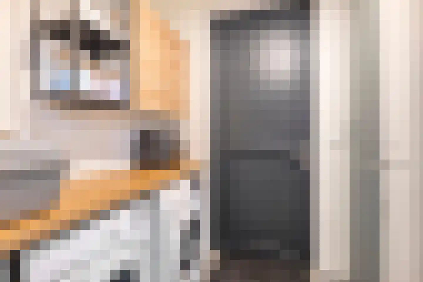 IJzeroven 34 Wehl thumbnail 22