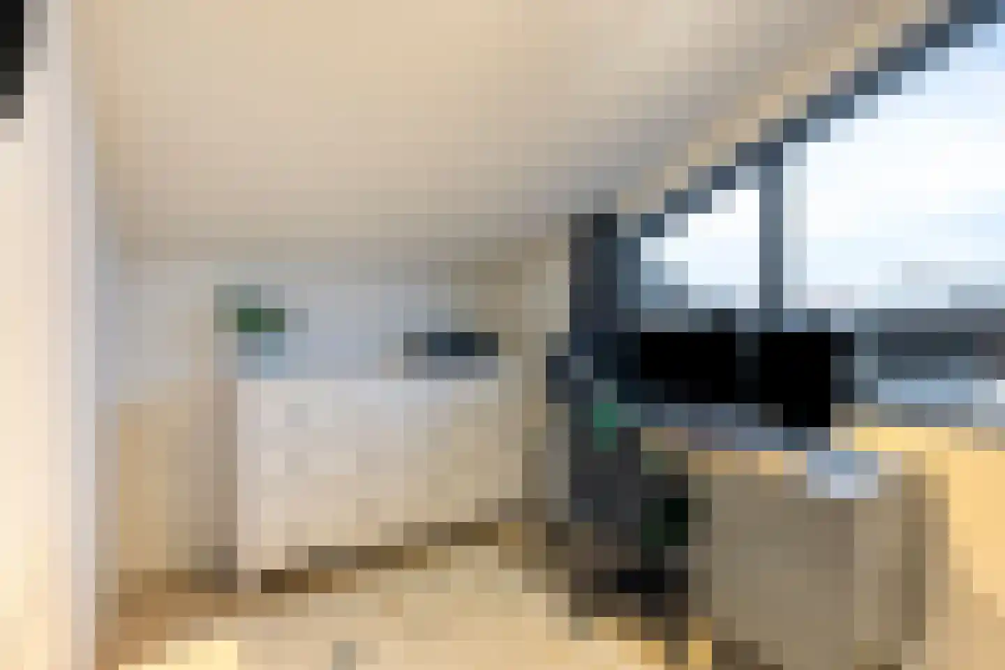 IJzeroven 34 Wehl thumbnail 28