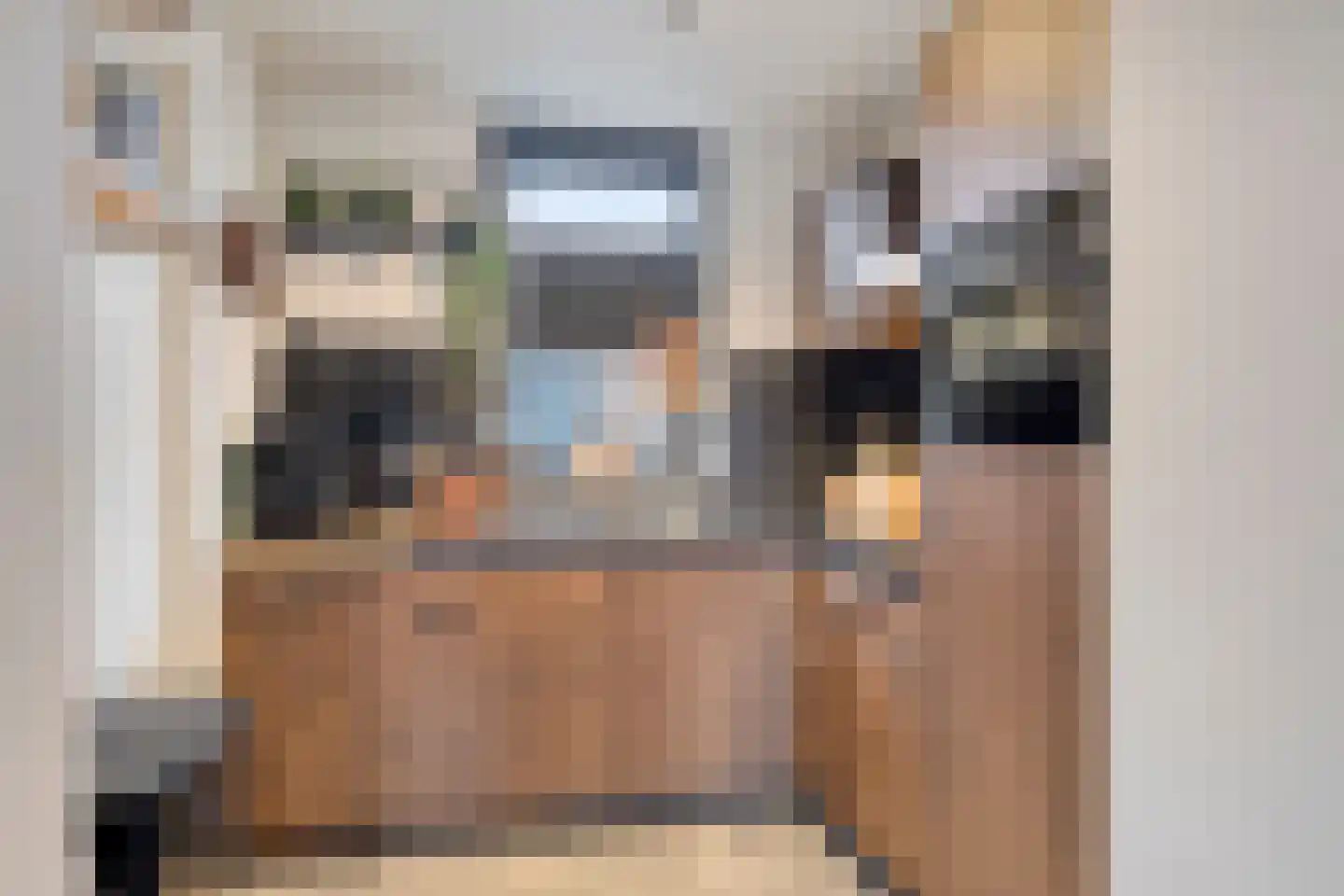 IJzeroven 34 Wehl foto 3