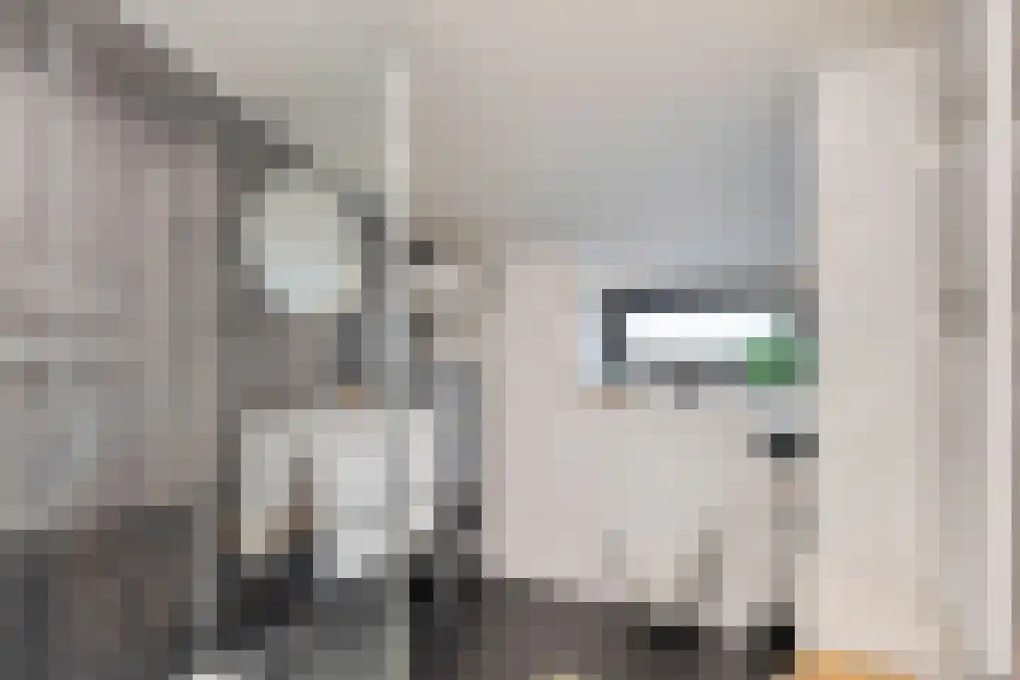 IJzeroven 34 Wehl thumbnail 30