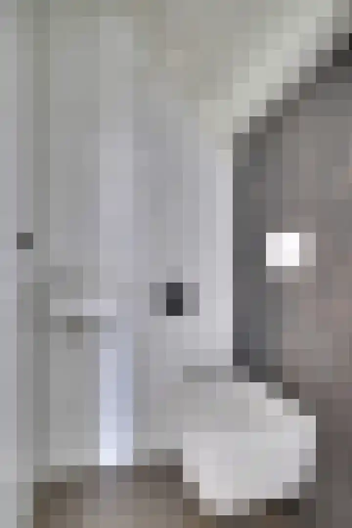 IJzeroven 36 Wehl thumbnail 13