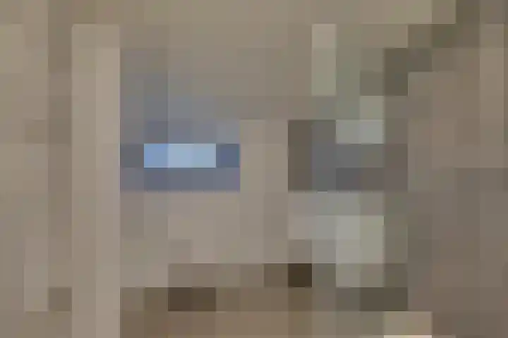 IJzeroven 36 Wehl thumbnail 17