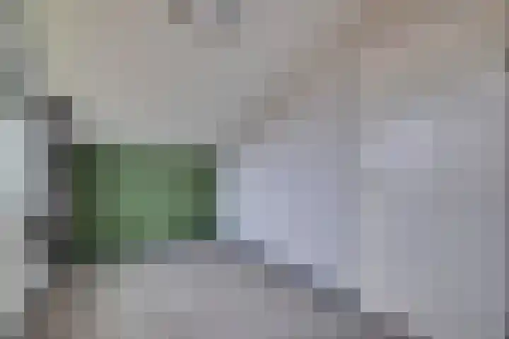 IJzeroven 36 Wehl thumbnail 20