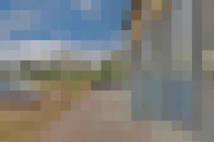 IJzeroven 36 Wehl foto 3
