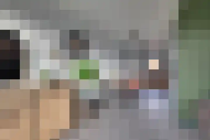 IJzeroven 36 Wehl thumbnail 8