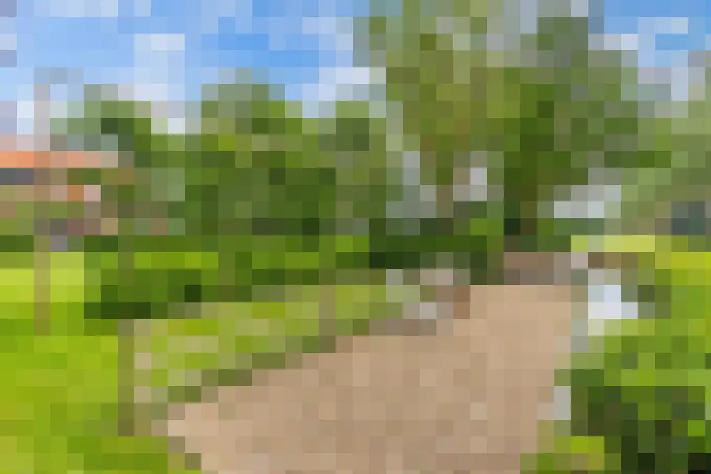 IJzerpad 6 C Rutten thumbnail 10