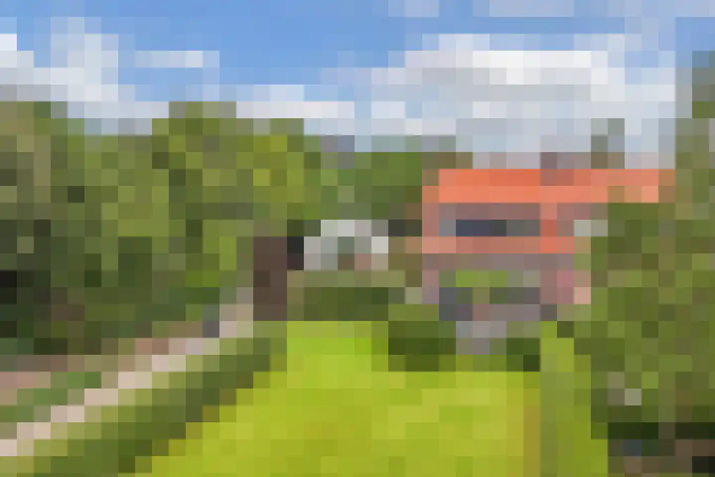IJzerpad 6 C Rutten thumbnail 13