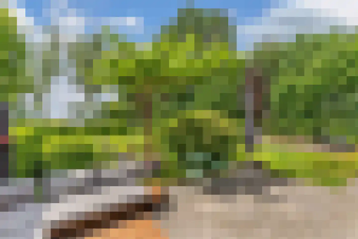 IJzerpad 6 C Rutten thumbnail 20