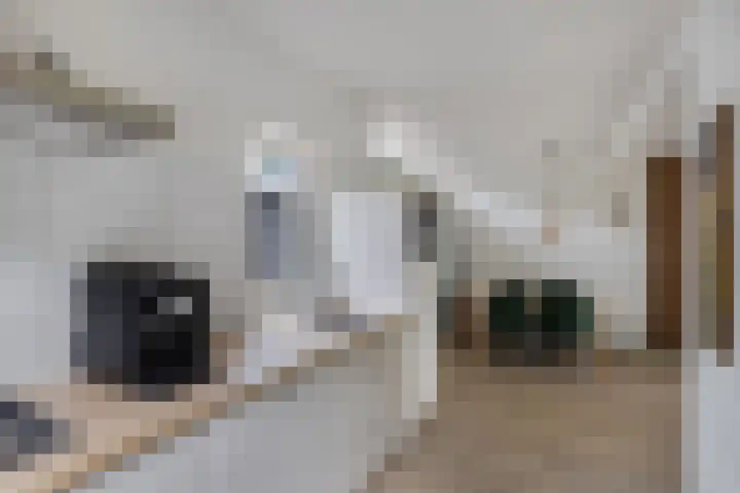IJzerpad 6 C Rutten thumbnail 28