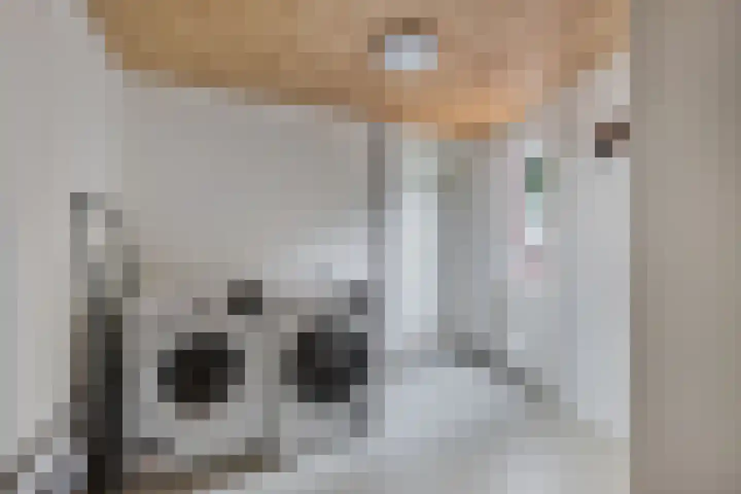 IJzerpad 6 C Rutten thumbnail 30