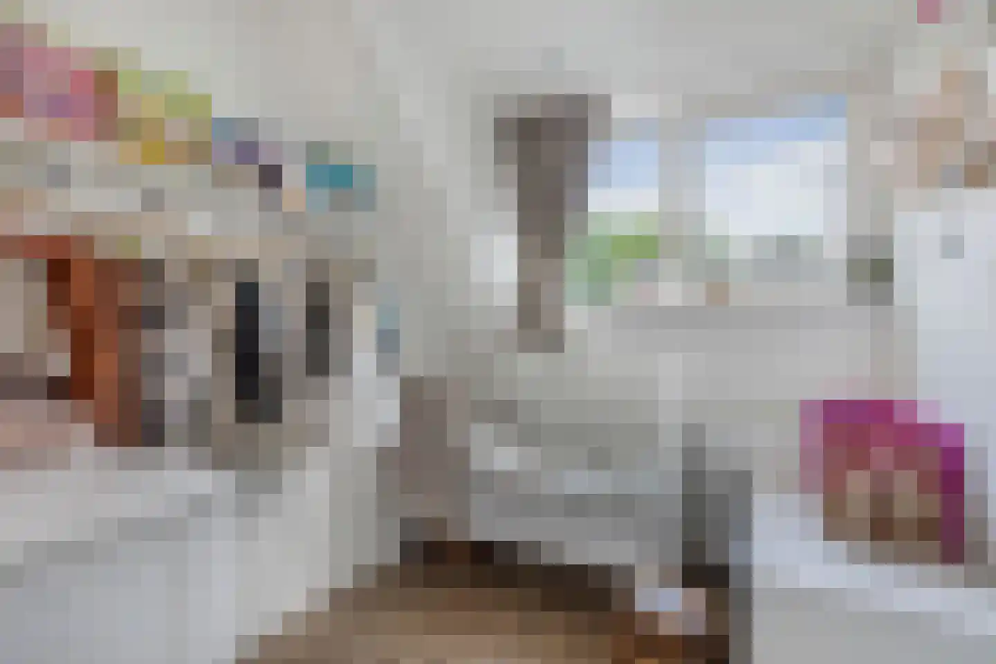 IJzerpad 6 C Rutten thumbnail 36