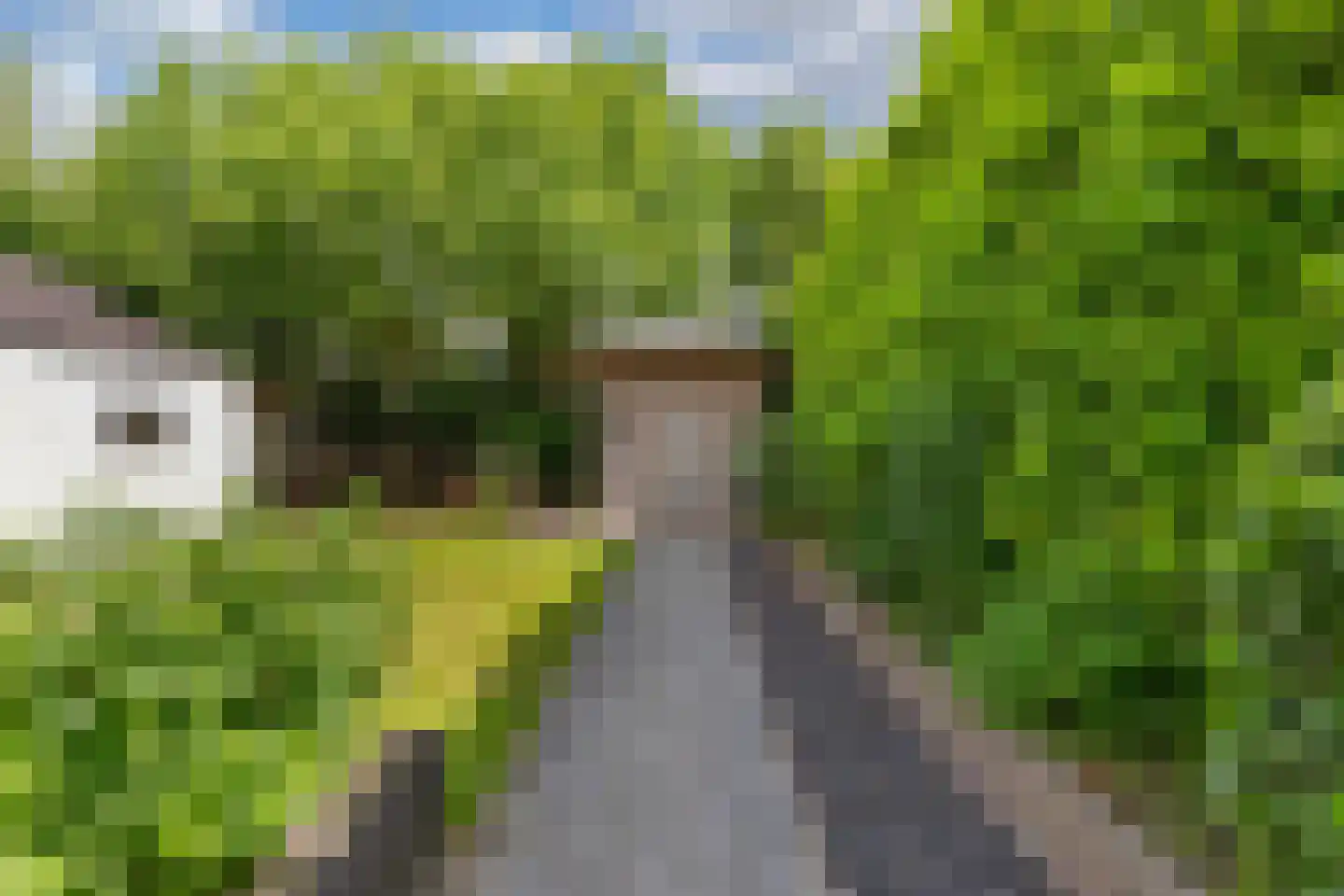 IJzerpad 6 C Rutten thumbnail 43