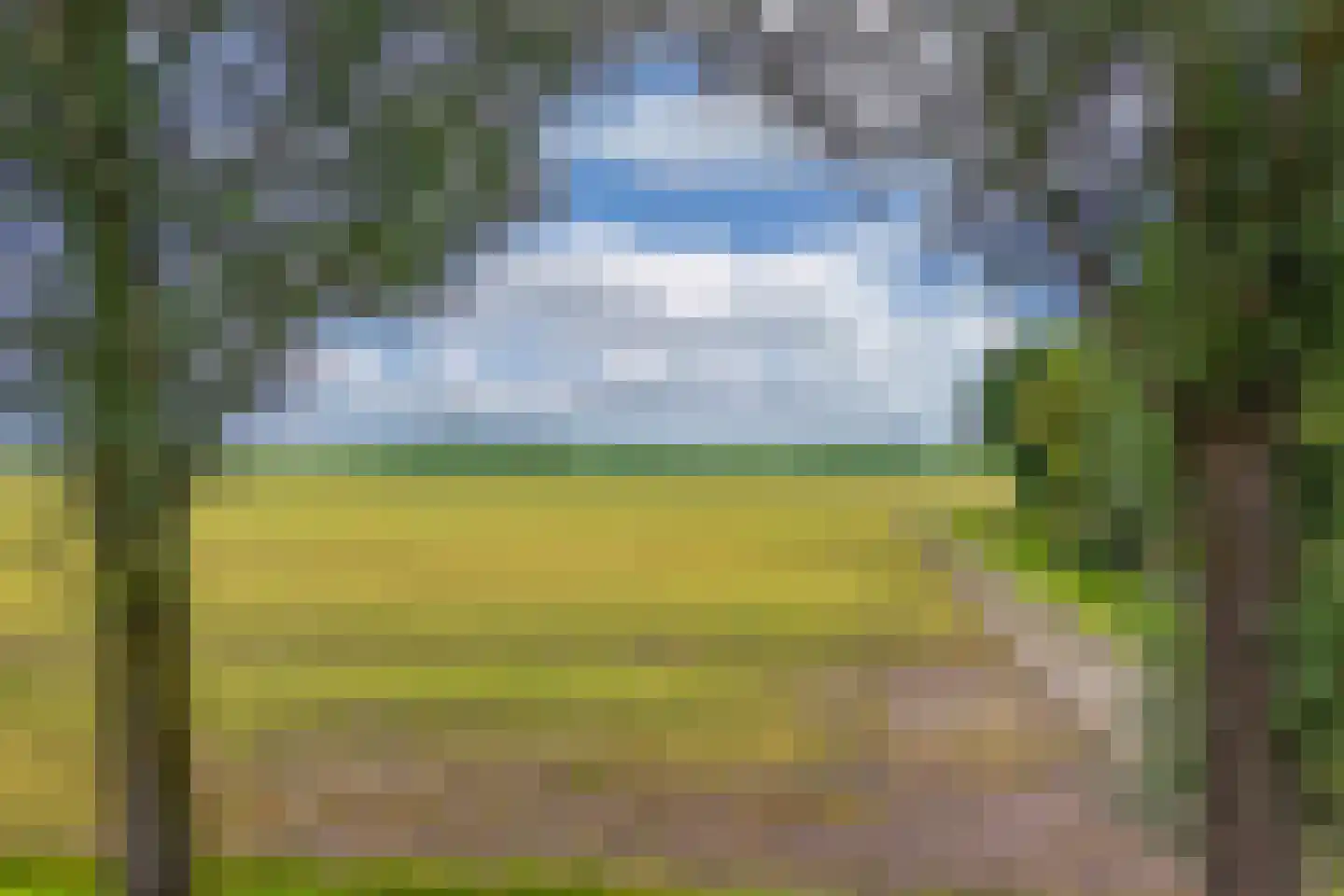 IJzerpad 6 C Rutten thumbnail 50