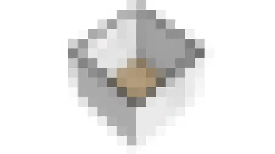 IJzerpad 6 C Rutten thumbnail 60