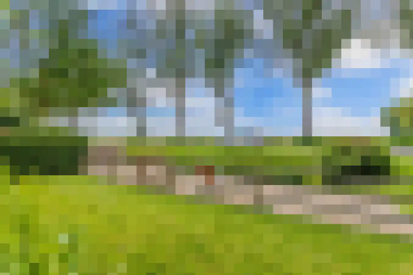 IJzerpad 6 C Rutten thumbnail 9