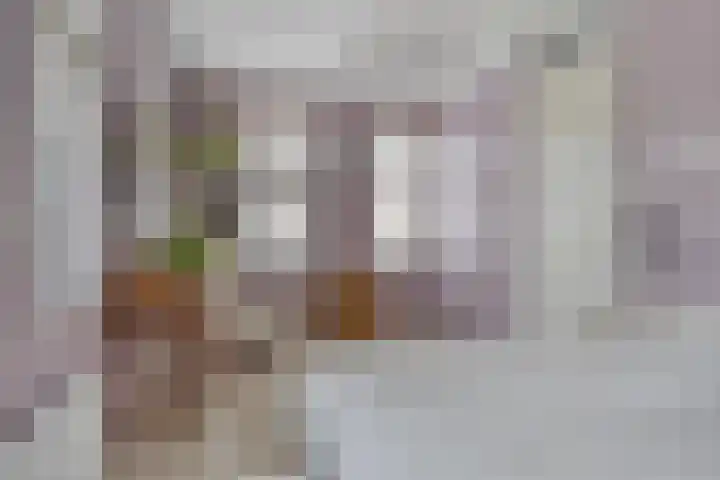 IJzertijd 13 Oosterhout thumbnail 14