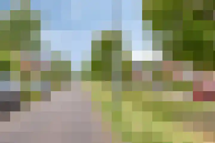 IJzertijd 13 Oosterhout thumbnail 28