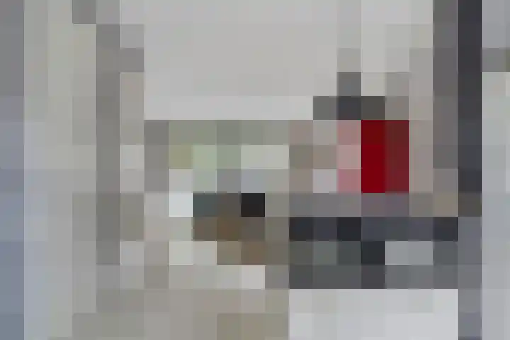 IJzertijd 13 Oosterhout thumbnail 9